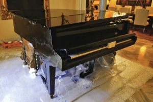 Desinsectación gases inertes. Colección Fundación Cajasol, Sevilla. Trabajo realizado a METIS