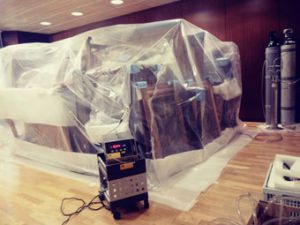 Desinsectación gases inertes. Colección Fundación Cajasol, Sevilla. Trabajo realizado a METIS