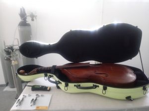 Viola de Gamba s.XVIII. Desinsectación con gases inertes